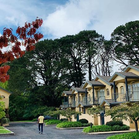 Falls Mountain Retreat Blue Mountains Уэнтворт-Фолс Экстерьер фото