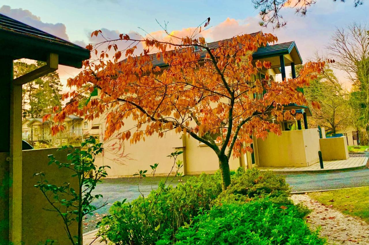 Falls Mountain Retreat Blue Mountains Уэнтворт-Фолс Экстерьер фото